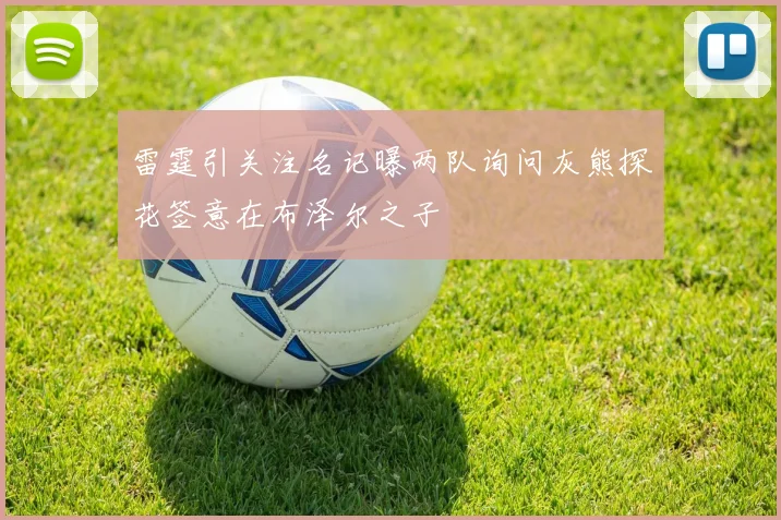雷霆引关注名记曝两队询问灰熊探花签意在布泽尔之子