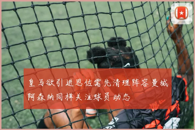 皇马欲引进恩佐需先清理阵容曼城阿森纳同样关注球员动态